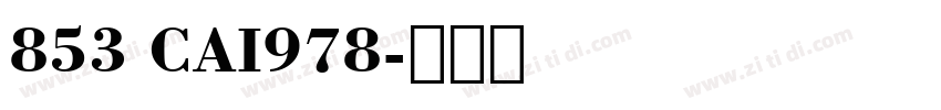 853 CAI978字体转换